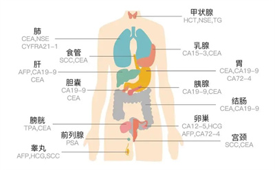 图片细节